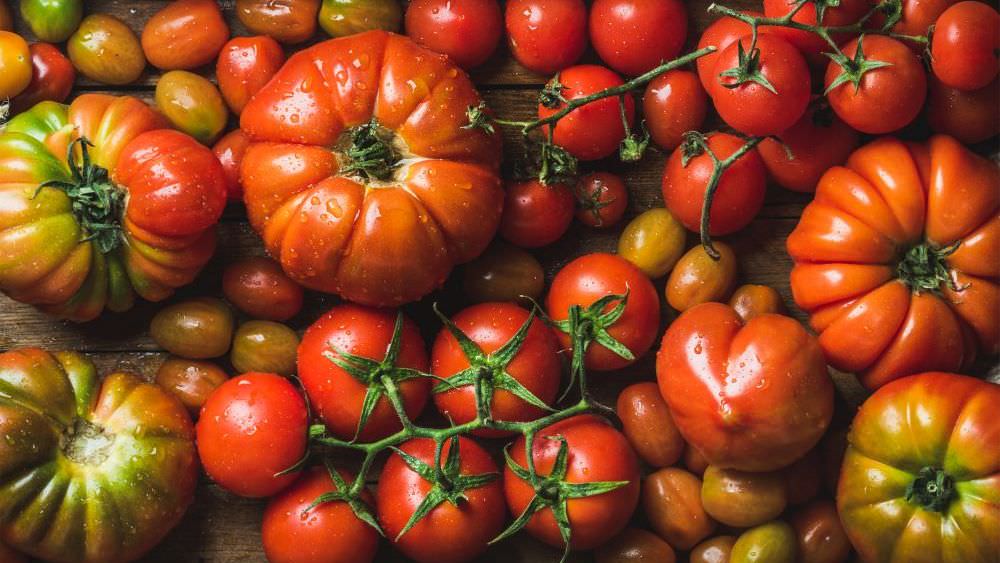 Tomaten – Arten und Unterschiede