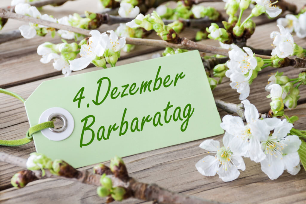 Barbarazweige – die Hommage an die Heilige Barbara