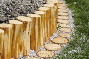 Windschutz im Gemüsegarten: Wie lässt sich der Wind aussperren? - Samenhaus  Gartenblog