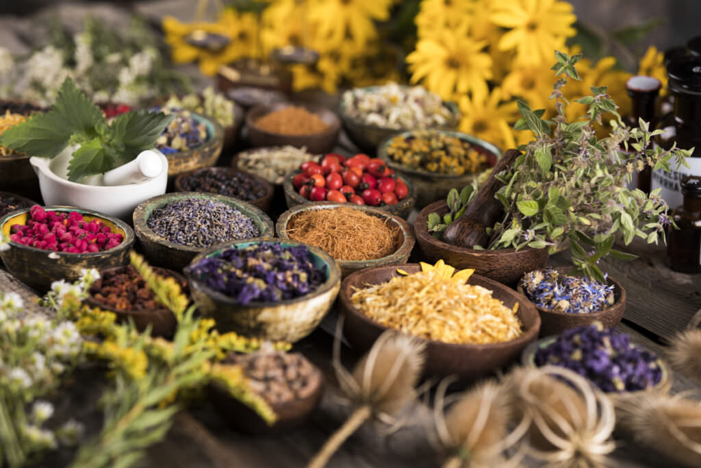 Geschenke aus dem Gemüsegarten Schon beim Ernten ans Schenken denken