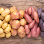 Kartoffeln einkochen – Anleitung und Tipps