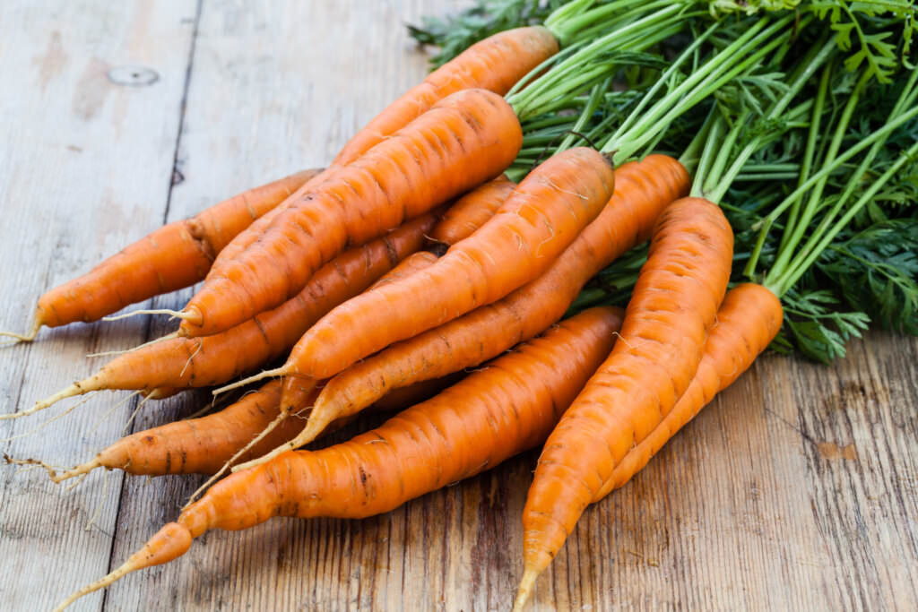 Möhren haltbar machen – Vitaminbomben für das ganze Jahr