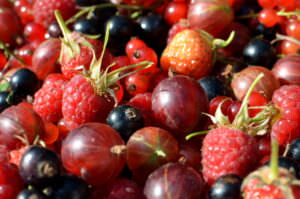 Beeren im Naschgarten