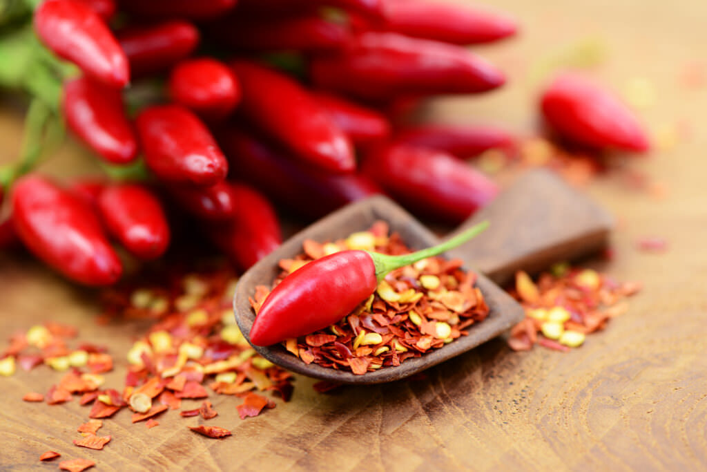 Anzucht von Chilis und Paprika Schritt für Schritt Samenhaus Gartenblog