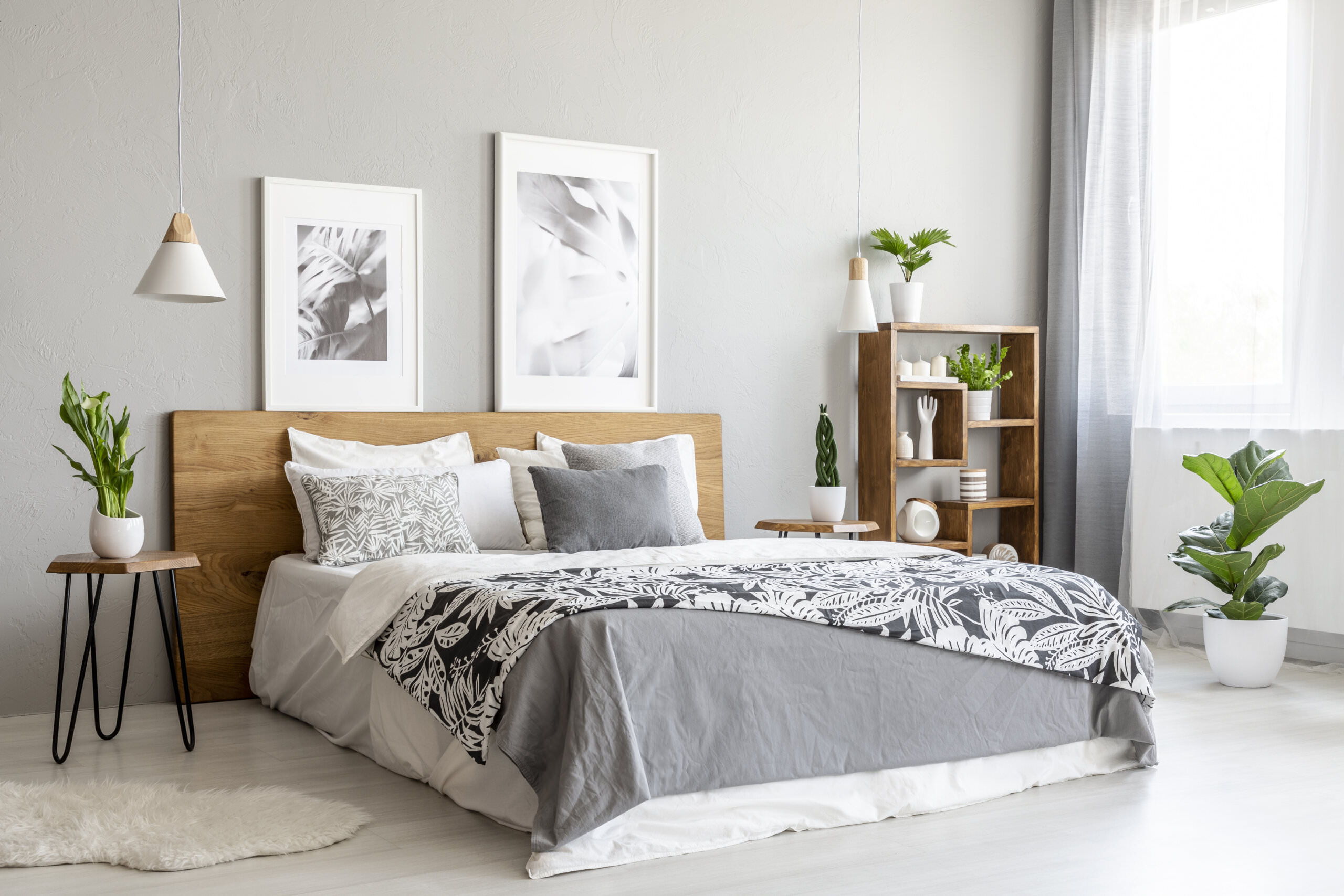 Zimmerpflanzen fr das Schlafzimmer - Samenhaus Gartenblog