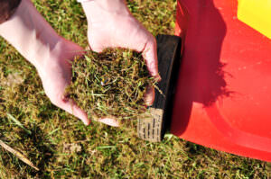 Rasen Mulch
