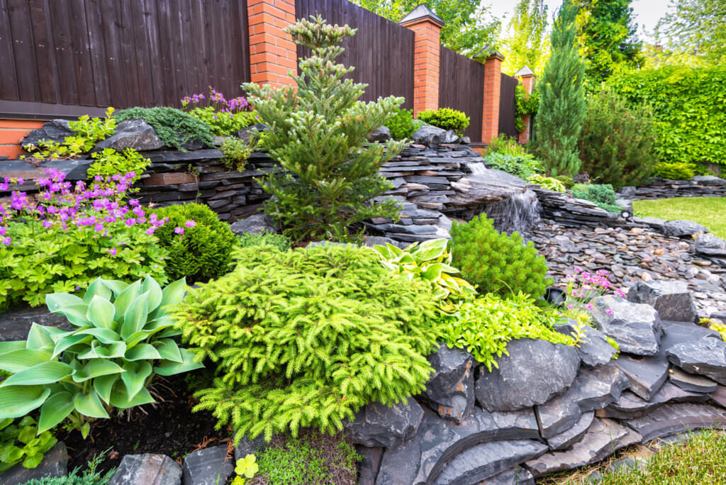 Steingarten anlegen – alpines Flair für Ihren Garten