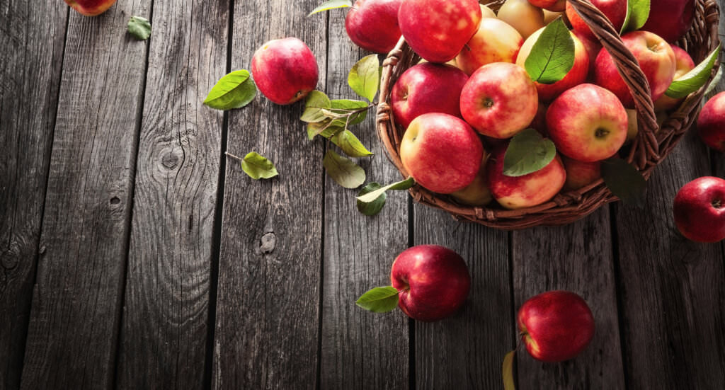 Tipps für die Apfelernte im Herbst: richtig ernten und lagern