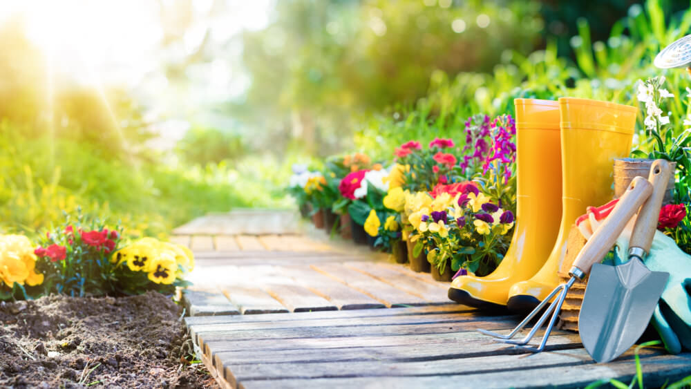 Gartenarbeit übers Jahr