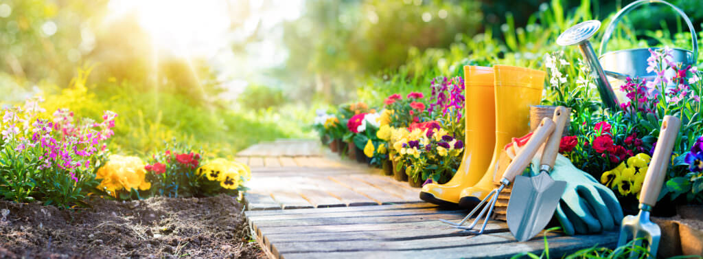 Gartenarbeit über das gesamte Jahr: in jedem Monat etwas zu tun