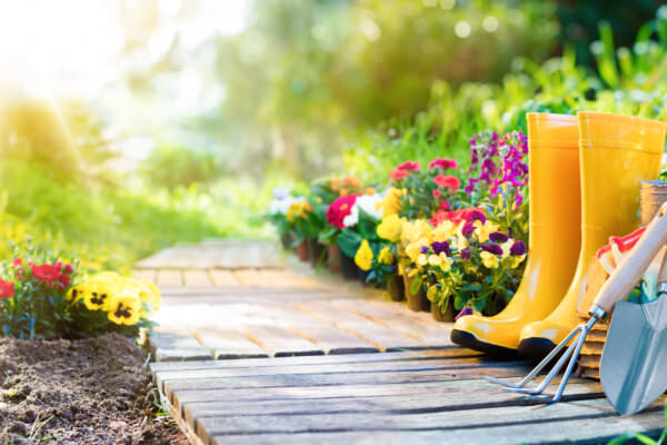 Gartenarbeit übers Jahr