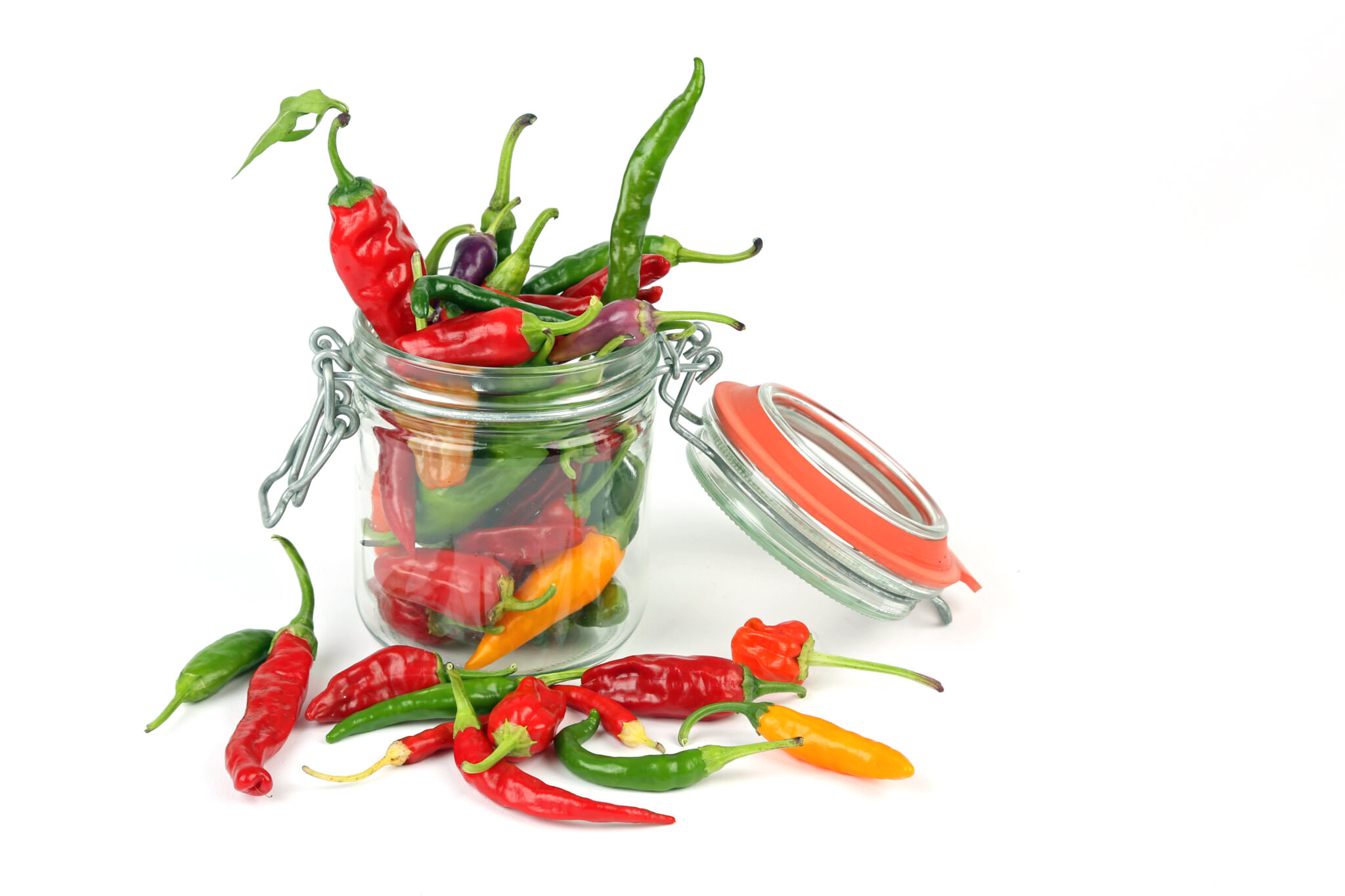 Paprika, Chili, Peperoni haltbar machen Samenhaus Gartenblog