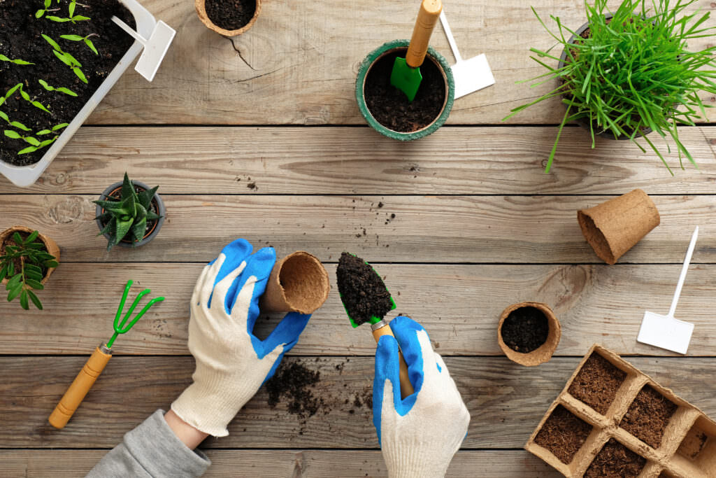 Biologisches Gärtnern – im Einklang mit der Natur