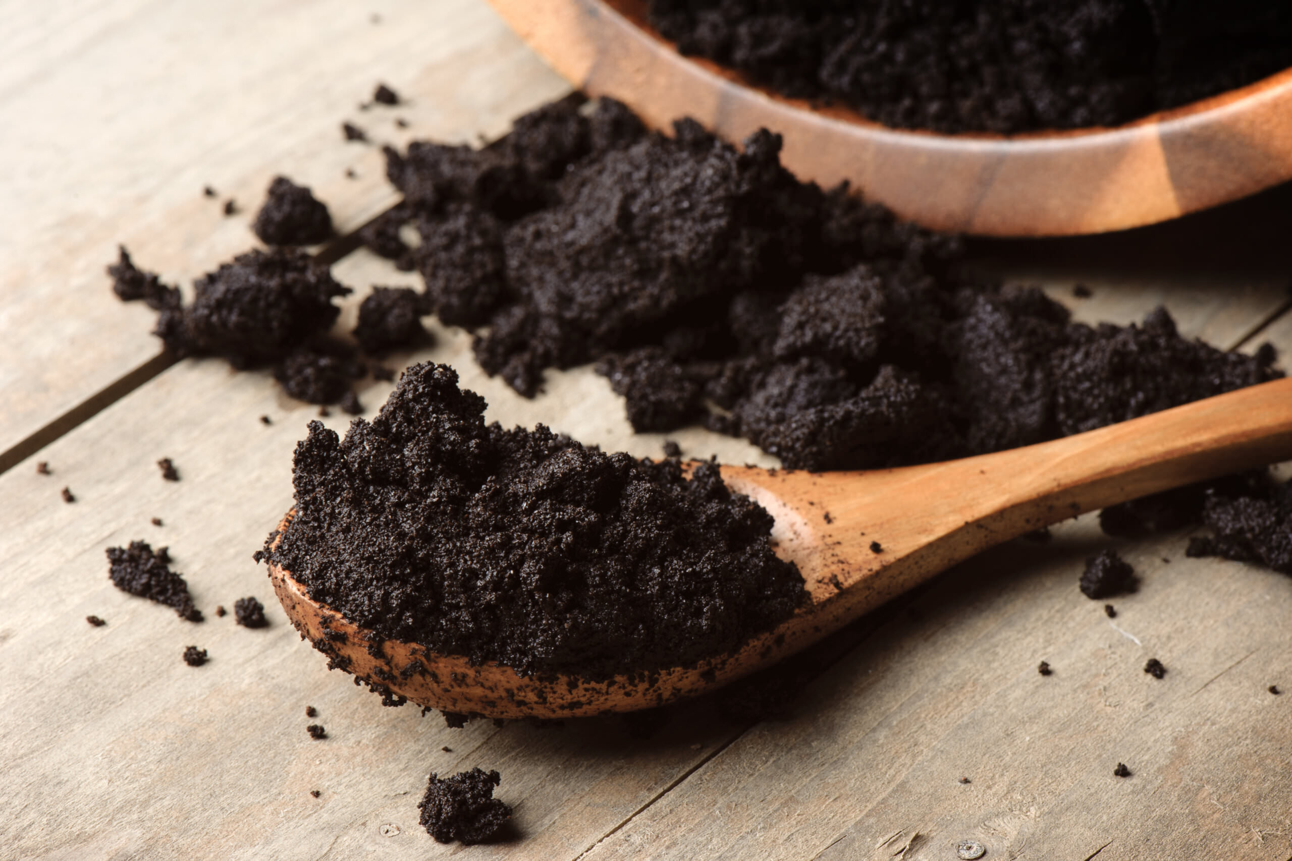 Wertvoller Abfall: Kaffeesatz als Dnger - Samenhaus Gartenblog