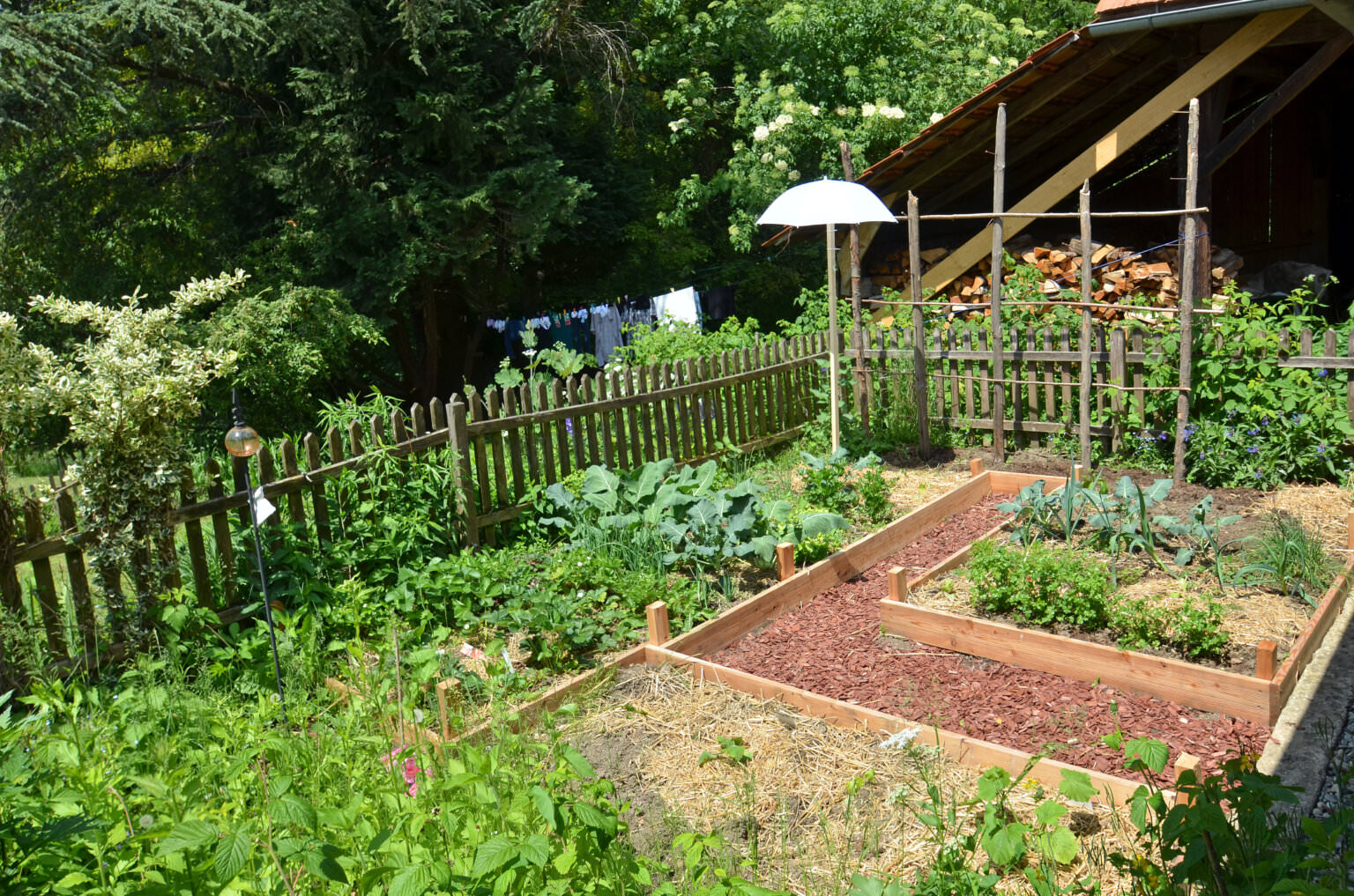 Permakultur gärtnern mit der Natur Samenhaus Gartenblog