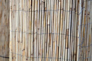 Sichtschutz Bambus