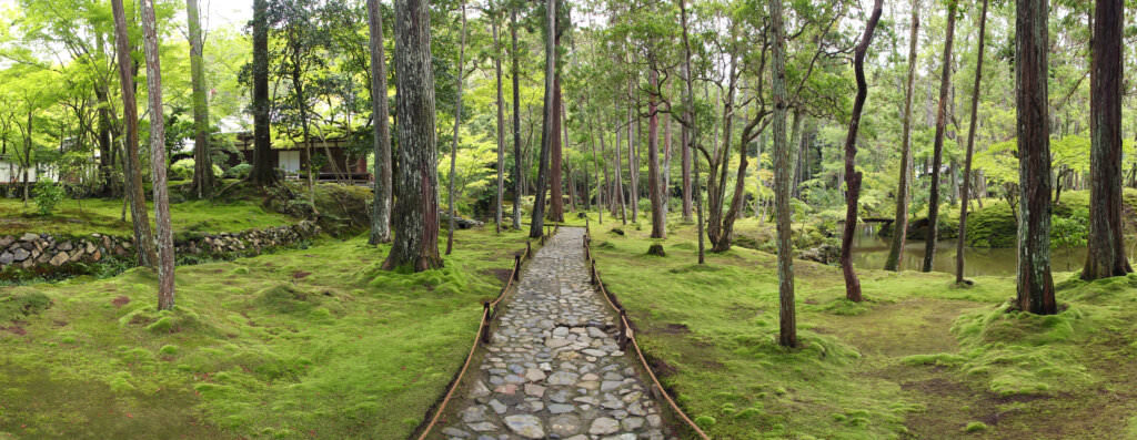 Forest Garden: Wie Sie den Waldgarten anlegen und welche Vorteile er hat