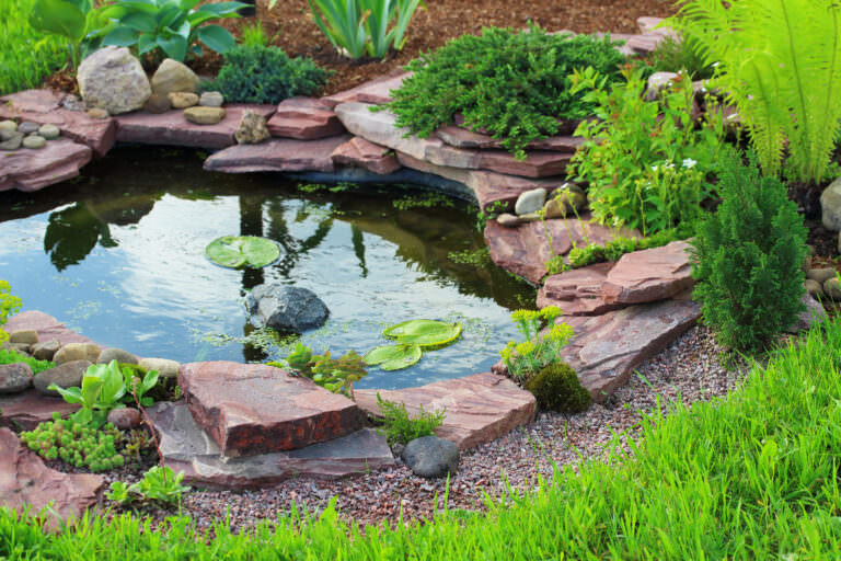 Diese Fehler sollten Sie beim Anlegen eines Gartenteiches vermeiden