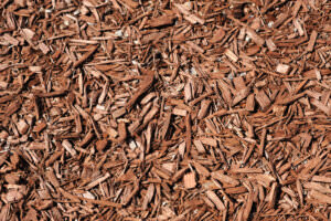 Rindenmulch