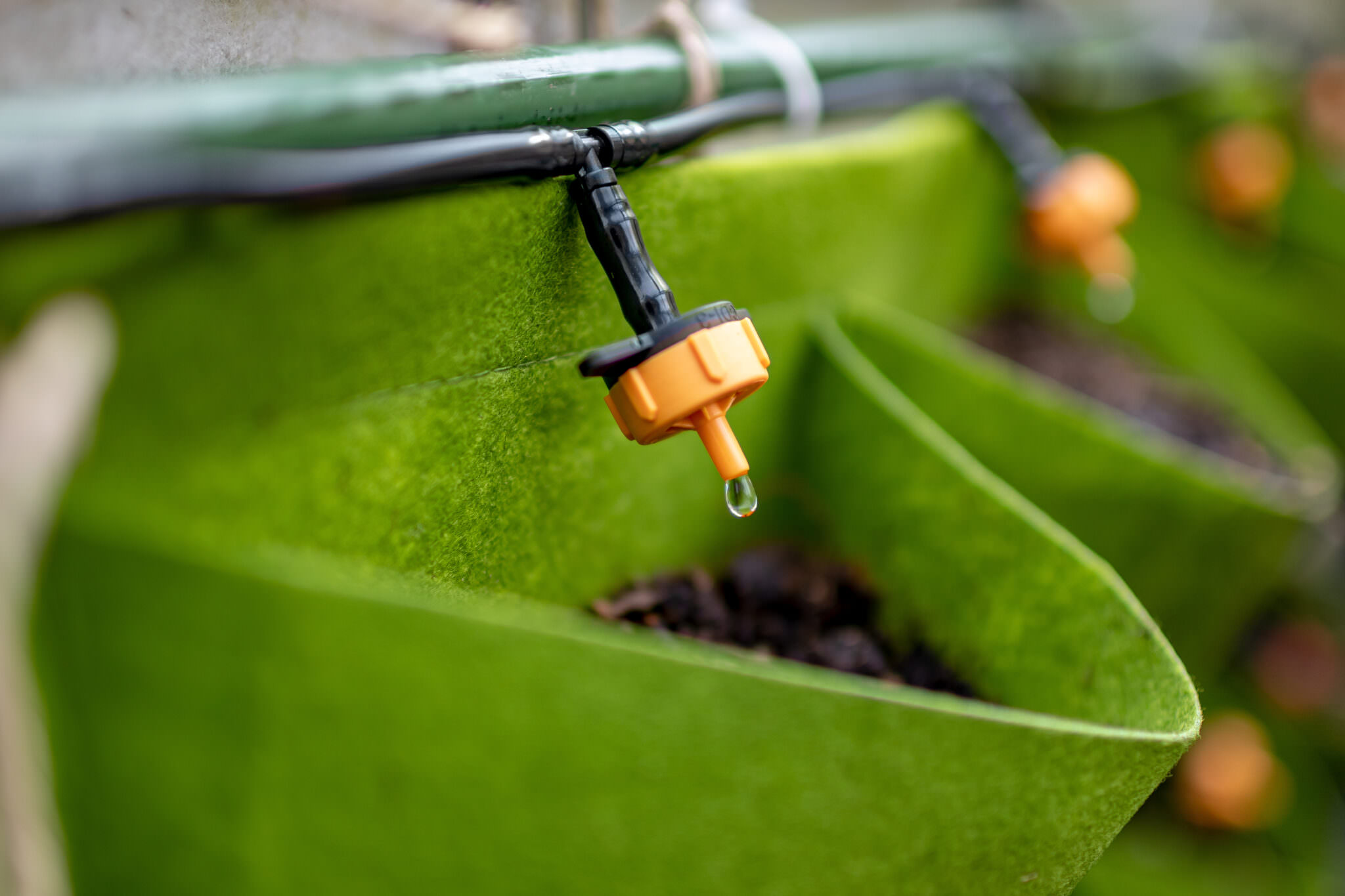 Automatische Bewässerung von Balkonpflanzen Samenhaus Gartenblog