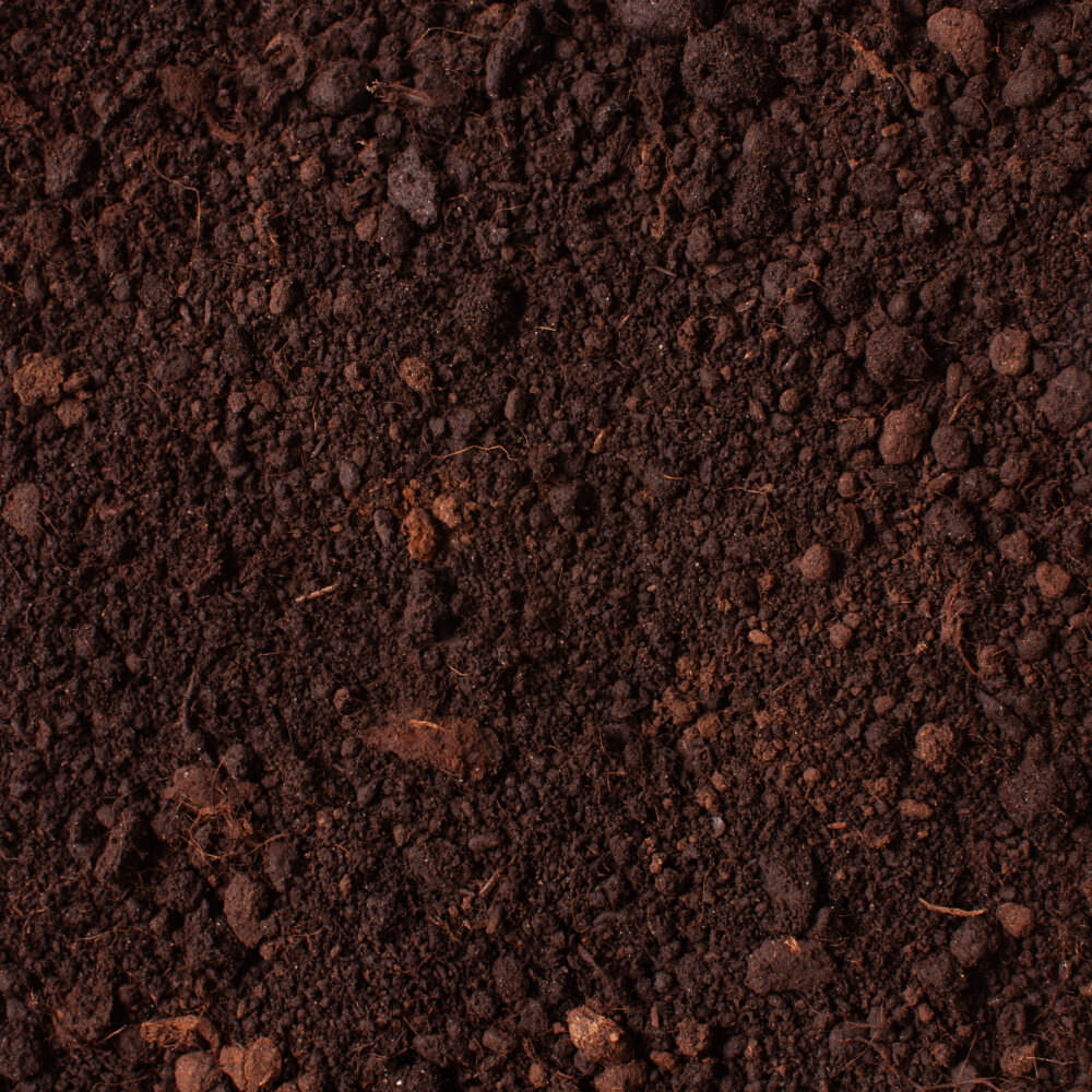 Für jede Pflanze die richtige Erde Samenhaus Gartenblog