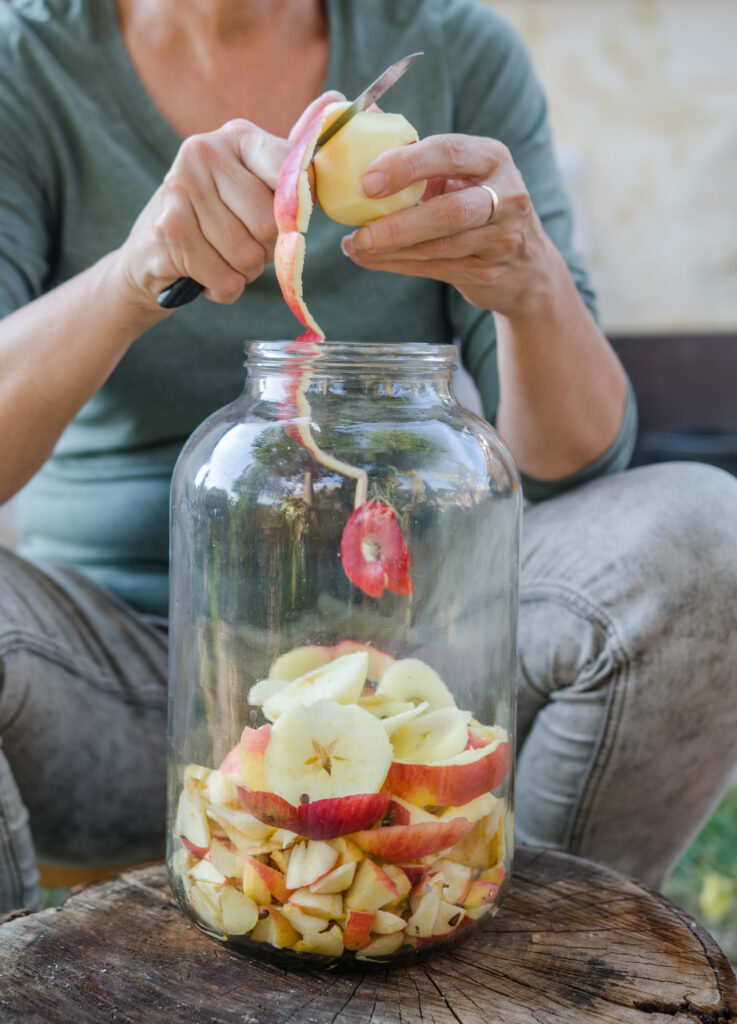 Essig selber machen mit Früchten aus dem Garten Samenhaus Gartenblog