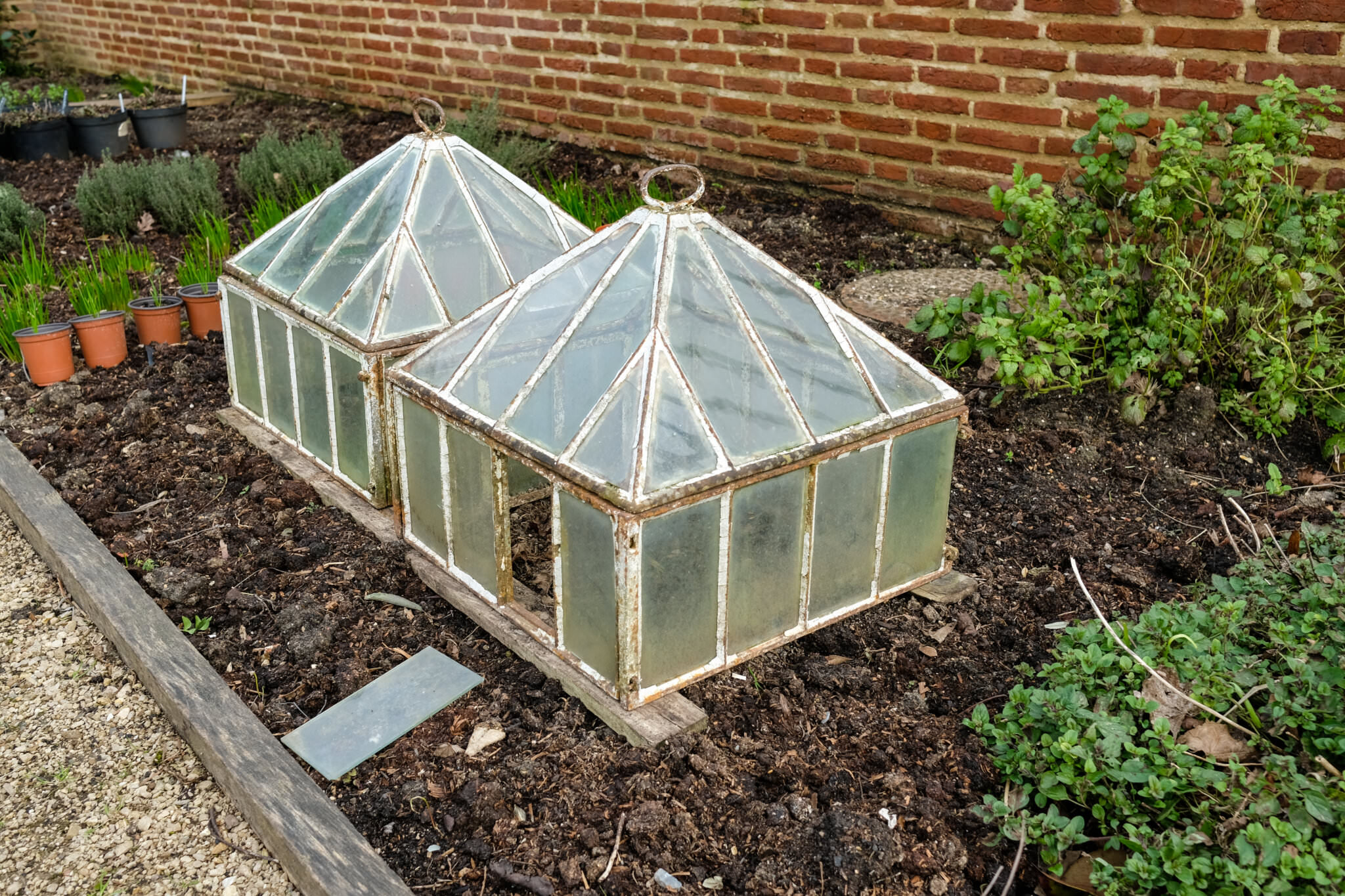 Frühbeet und Folientunnel selbst bauen - Samenhaus Gartenblog