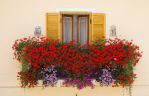 Balkon Frühling