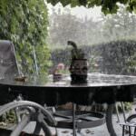 Sturmwarnung: Sorgen Sie für Sicherheit im Garten