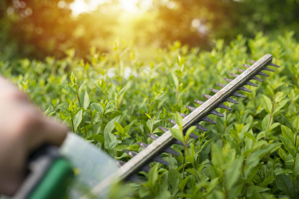 Garten frühlingsfit machen Samenhaus Gartenblog