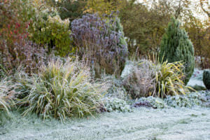 Frost Garten