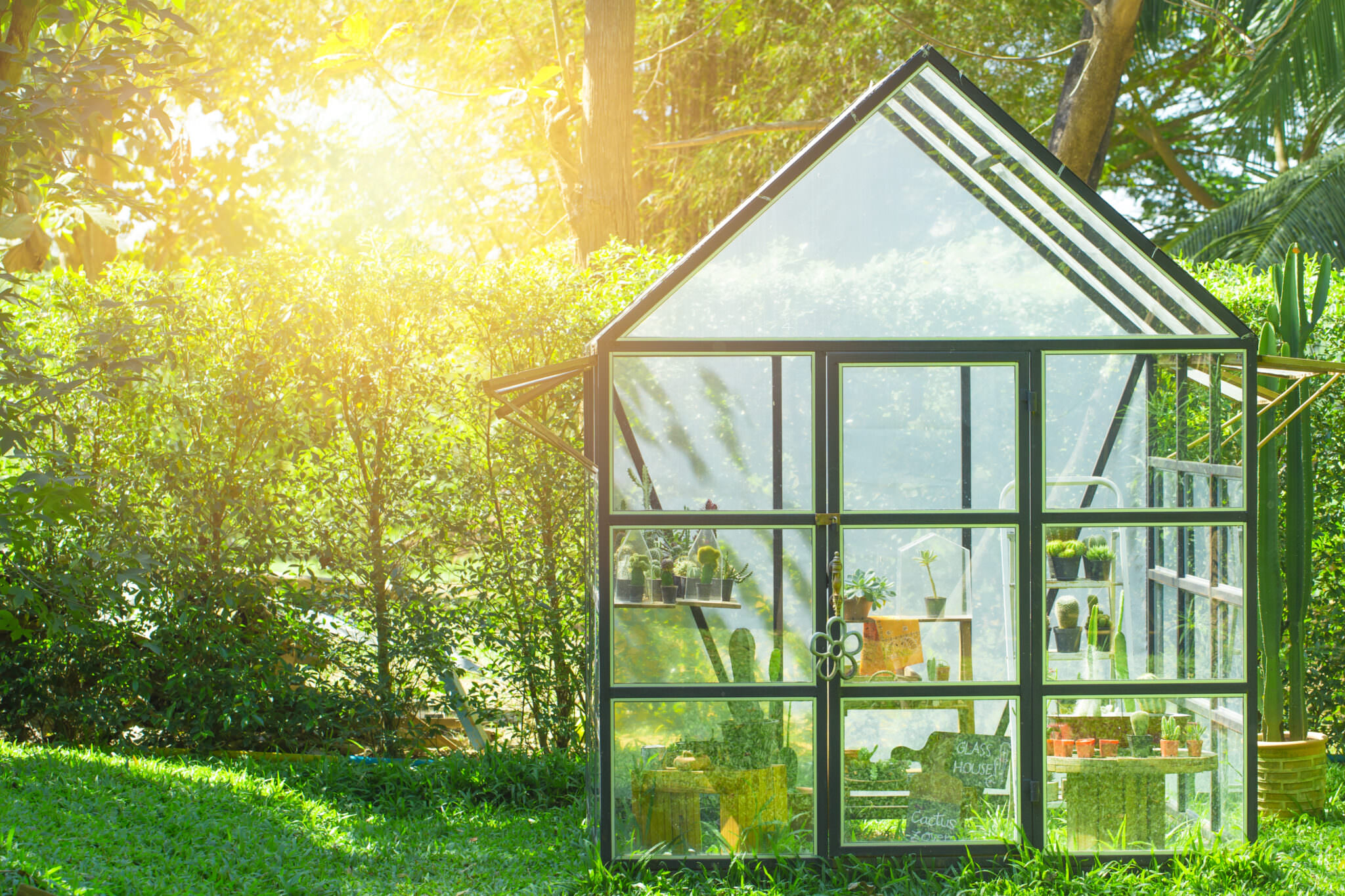 So machen Sie das Gewächshaus fit Samenhaus Gartenblog