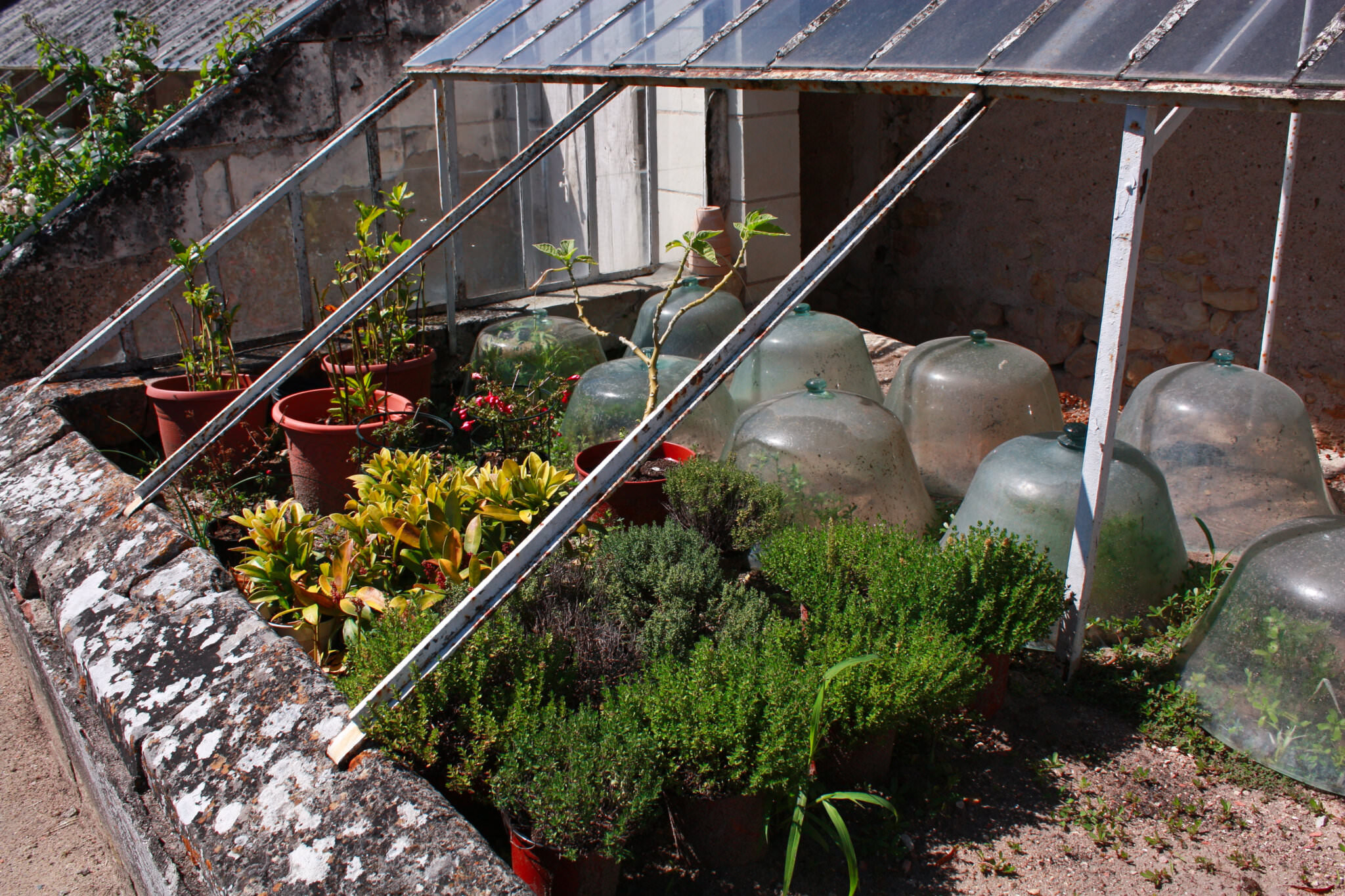 So machen Sie das Gewächshaus fit Samenhaus Gartenblog