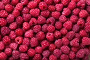 Himbeeren