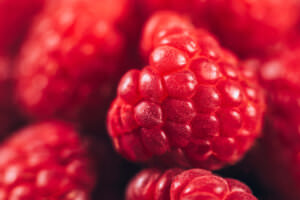 Sommerhimbeeren