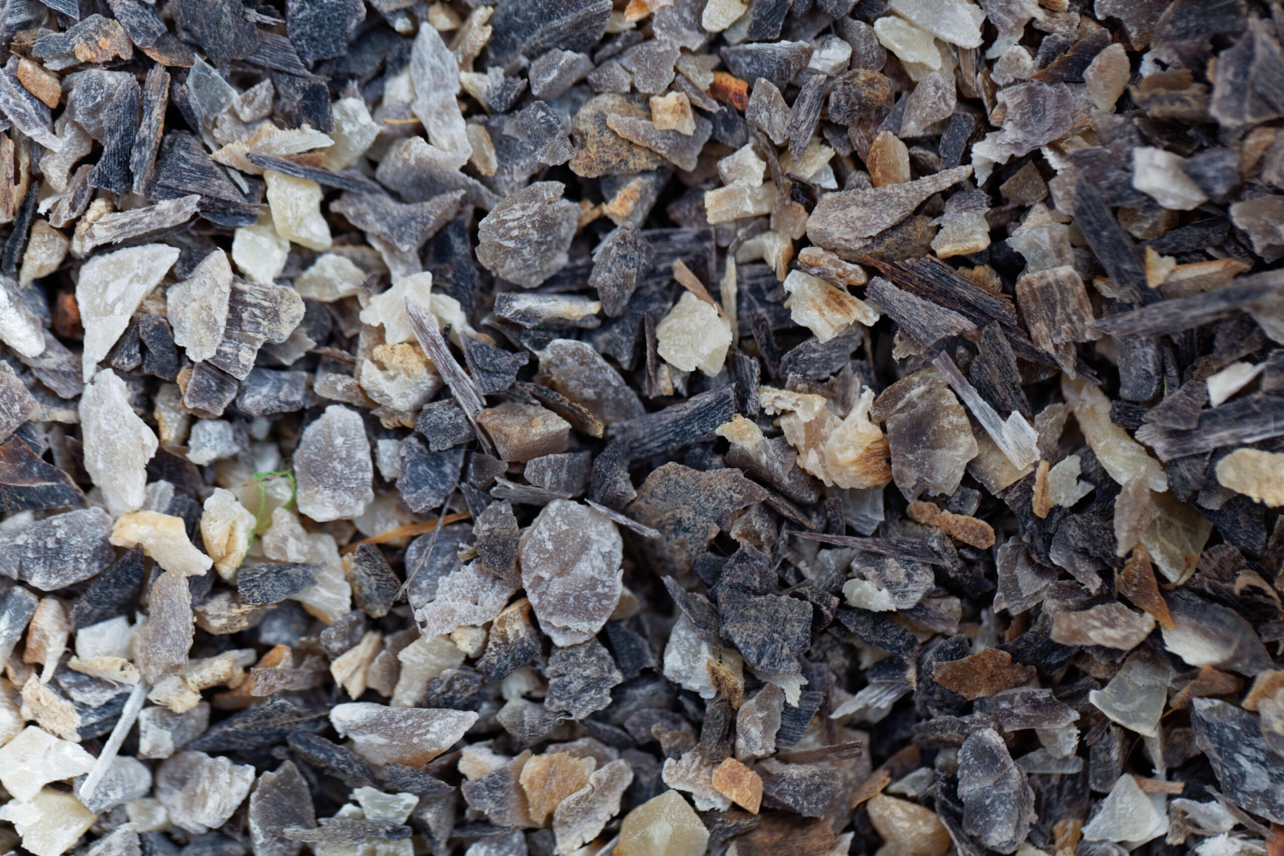 Hornspne: vielfltig einsetzbarer organischer Dnger fr den Garten -  Samenhaus Gartenblog
