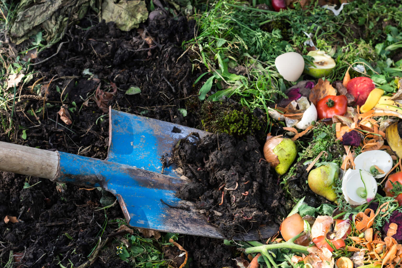 Was darf auf den Kompost? Samenhaus Gartenblog