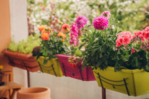 Blumenkästen