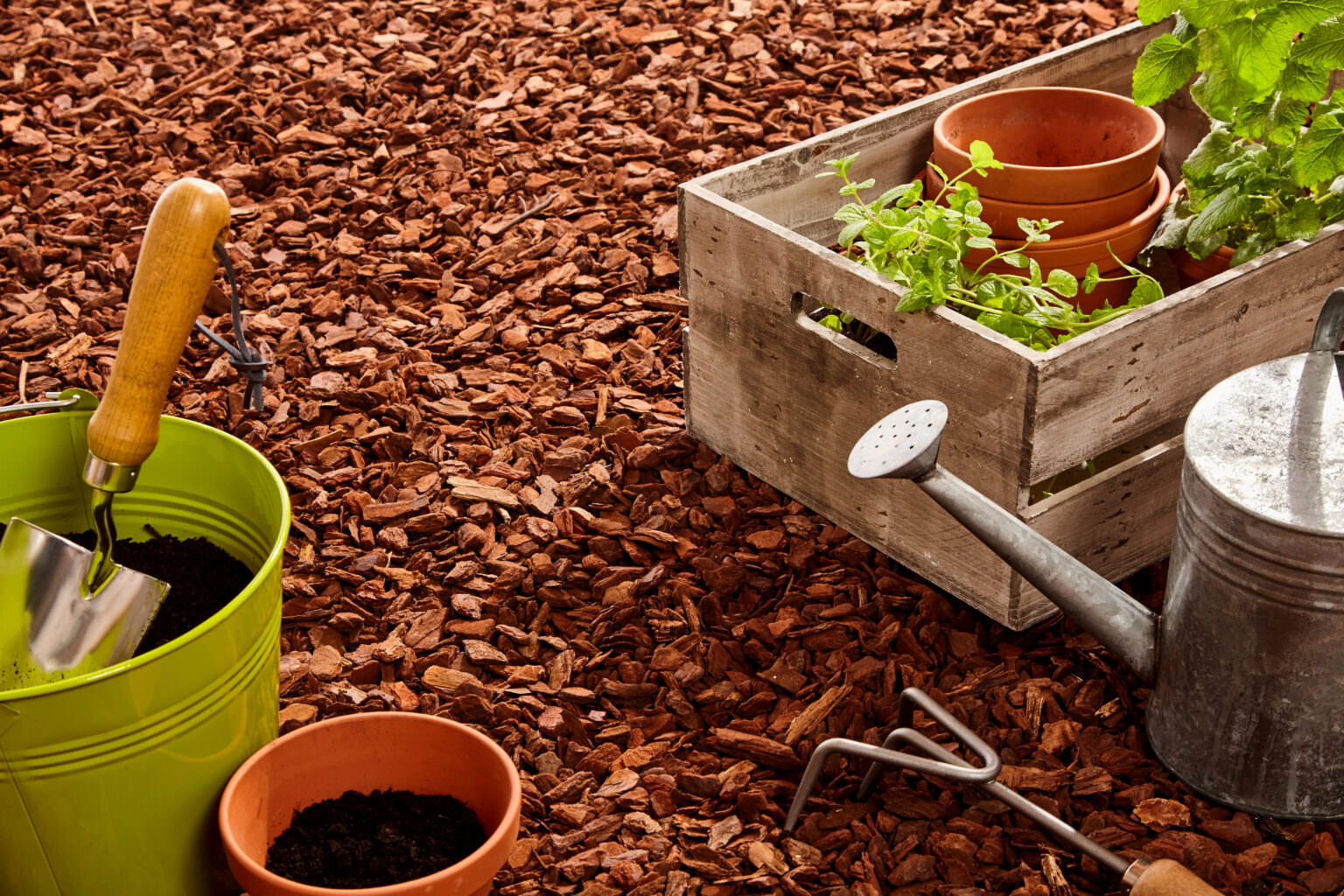 Mulchen im Garten so geht es Samenhaus Gartenblog