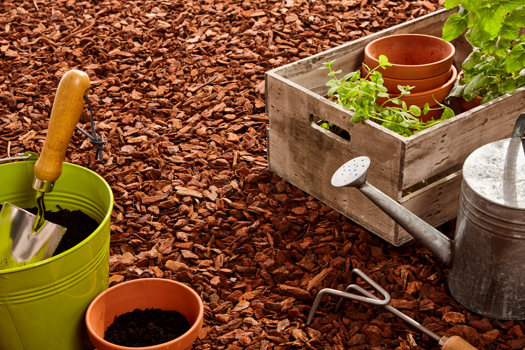 Mulchen Im Garten So Geht S Richtig Das Haus