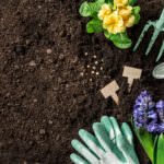 Mutterboden: nährstoffreiche Basis für alle Pflanzen