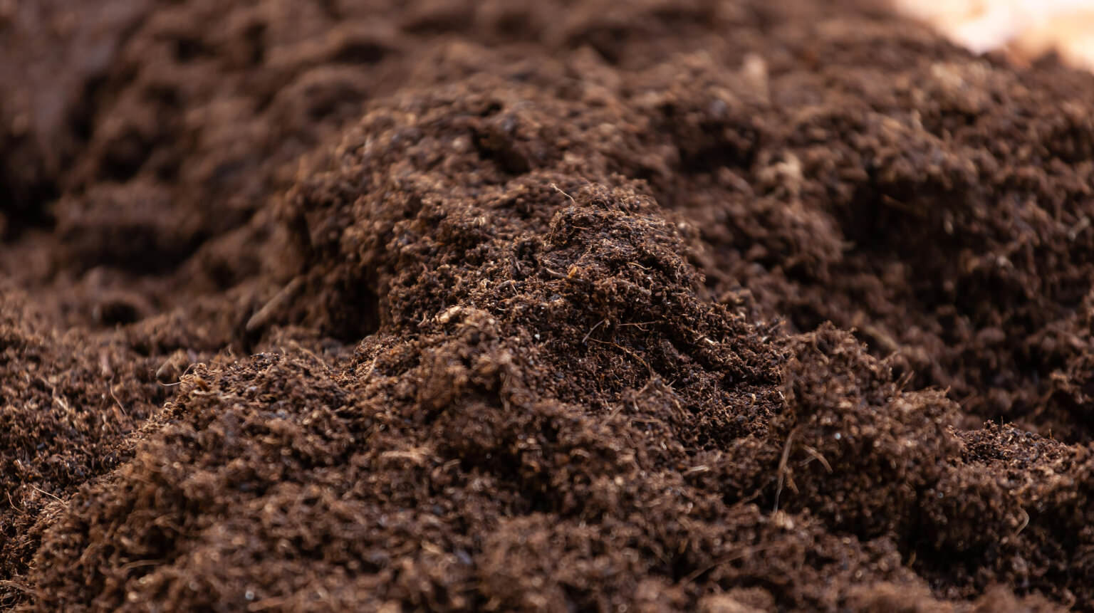 Mutterboden nährstoffreiche Basis für alle Pflanzen Samenhaus Gartenblog