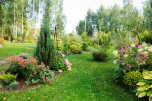 Naturgarten Lebensraum