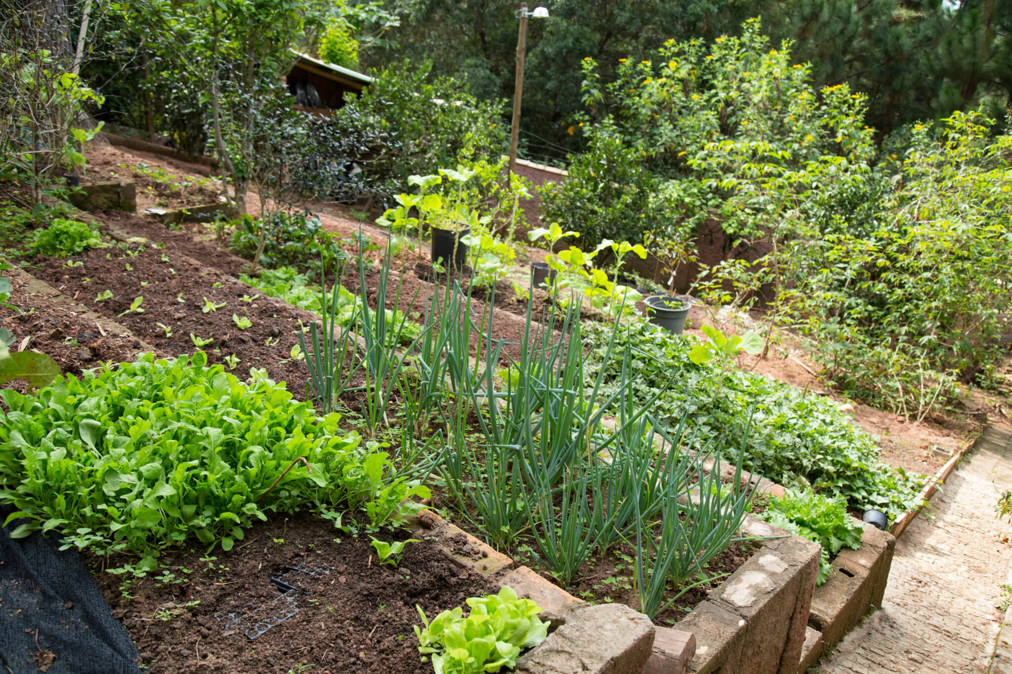 Die richtige Größe für den Samenhaus Gartenblog