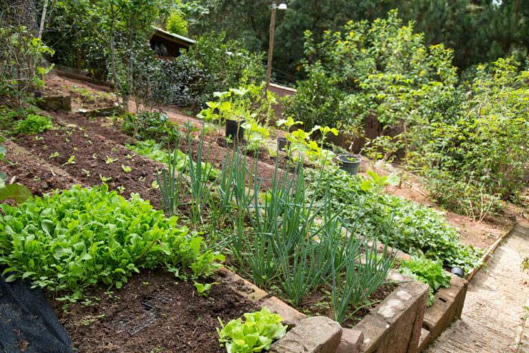 Die richtige Größe für den Samenhaus Gartenblog