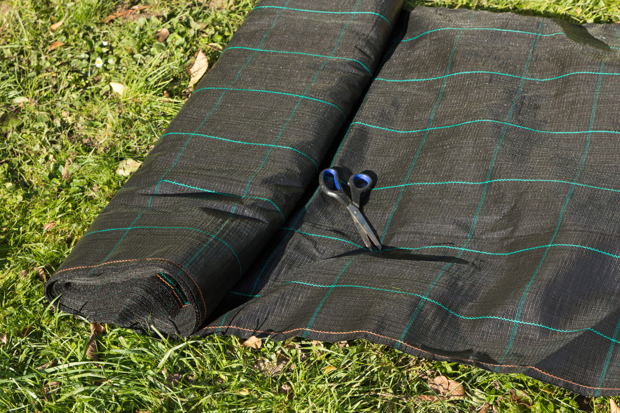 Toddmomy 120 Stück Garten Heringe Schwarz - Kunststoff Erdnägel Für Zelte & Planen