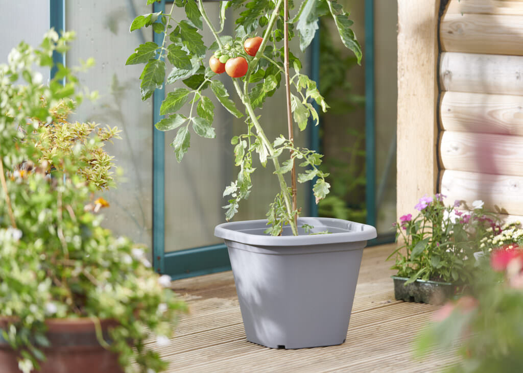 Clever Pots – innovative Lösungen für die Kultivierung von Pflanzen