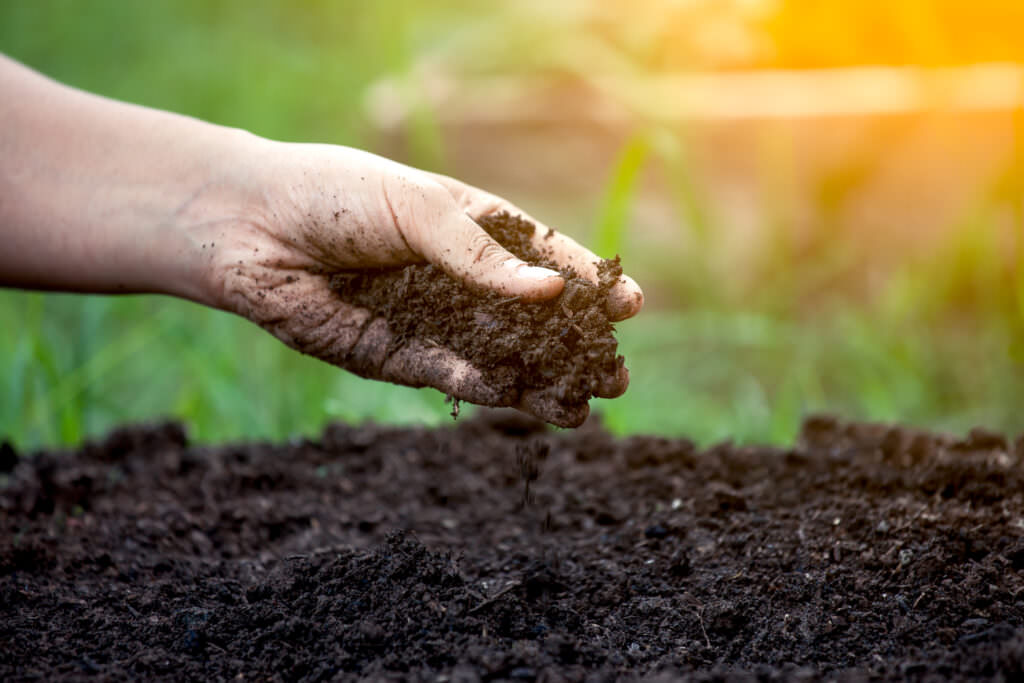 Bodenanalyse – auf dem Weg zur perfekten Gartenerde