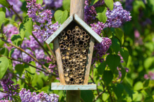 Insektenhotel