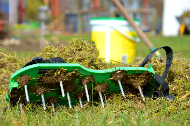 Anleitung und Tipps zum Rasen lüften Samenhaus Gartenblog